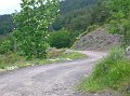 rovegno 06-06 041